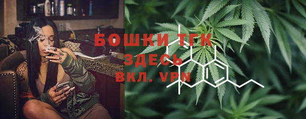 спиды Гусев