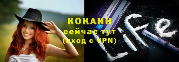 спиды Гусев