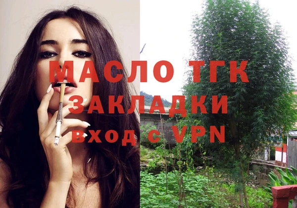 дживик Гусь-Хрустальный