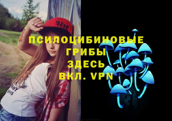 дживик Гусь-Хрустальный