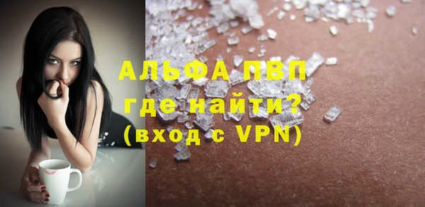спиды Гусев