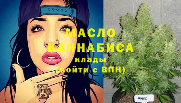 дживик Гусь-Хрустальный