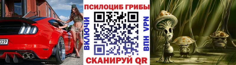 Псилоцибиновые грибы мицелий  Купить где  Балашов 